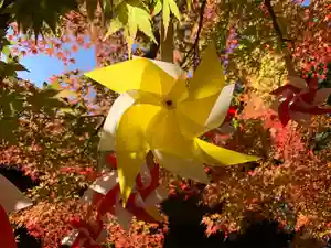滑川神社 - 仕事と子どもの守り神の七五三参(2023年11月18日(土) 08時38分12秒投稿)