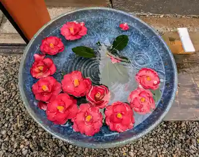 山寺日枝神社(山形県)