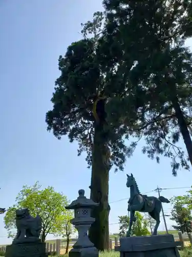 熊野神社の建物その他