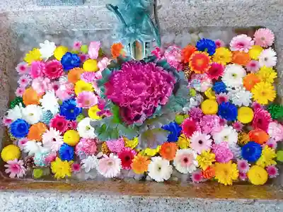 札幌諏訪神社の手水舎