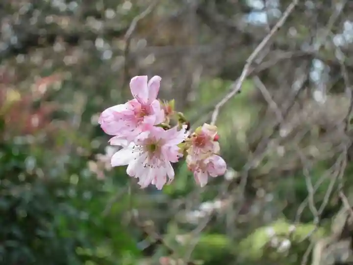 龍福寺(山口県)