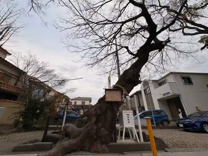 田光八幡社の{uncategorized: "未分類", other: "その他", undefined: "問題あり", building: "その他建物", grave: "お墓", sacred_gate: "鳥居", guardian: "狛犬", statue: "像", buddha: "仏像", history: "歴史", nature: "自然", garden: "庭園", animal: "動物", pagoda: "塔", temizu: "手水舎", mountain_gate: "山門・神門", sanctuary: "本殿・本堂", subordinate: "末社・摂社", art: "芸術", scenery: "景色", jizo: "地蔵", ema: "絵馬", goshuin: "御朱印", omikuji: "おみくじ", items: "授与品その他", amulet: "お守り", goshuincho: "御朱印帳", eats: "食事", festival: "お祭り", votive_dance: "神楽", shichigosan: "七五三参", wedding: "結婚式", experience: "体験その他", initially: "初詣", around: "周辺", anti_infection: "感染症対策"}