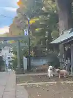 下田神社(神奈川県)