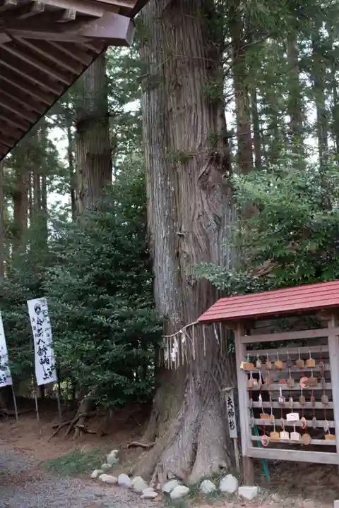 坪沼八幡神社の庭園