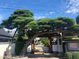 法源寺の山門・神門 2021年03月27日(土)〜(2021年03月26日(金) 11時14分16秒投稿)