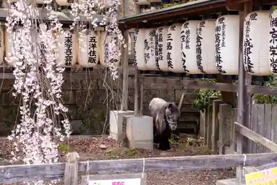 大石神社(京都府)