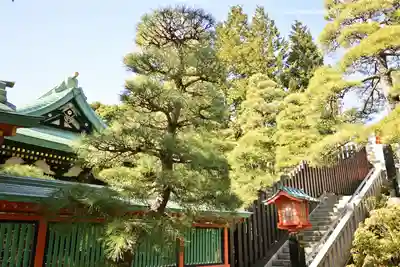 穴八幡宮(東京都)