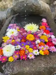 大鏑神社の手水