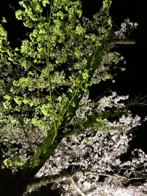 涌谷神社(宮城県)