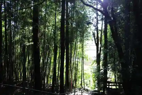 鹿島神社の自然