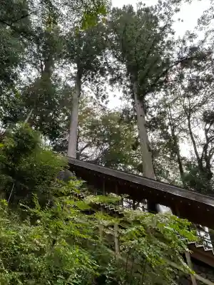 丹生川上神社（下社）(奈良県)