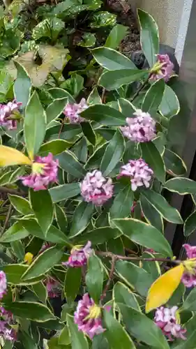 成道院(京都府)