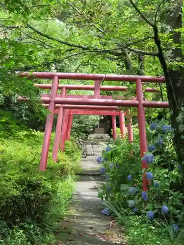 大善寺の鳥居