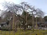 足羽神社(福井県)