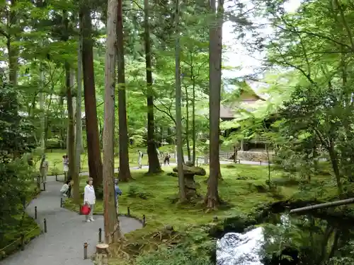 三千院門跡の庭園