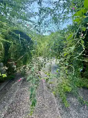 勝念寺（かましきさん）(京都府)