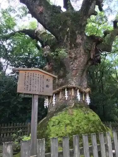 熱田神宮の自然