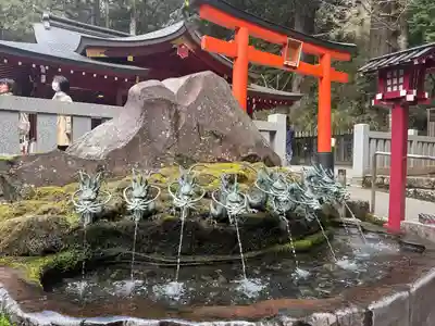 九頭龍神社新宮(神奈川県)