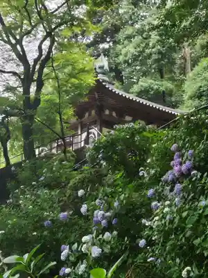 長谷寺(奈良県)