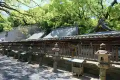 闘鶏神社(和歌山県)