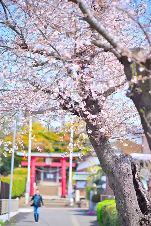 川和八幡神社(神奈川県)