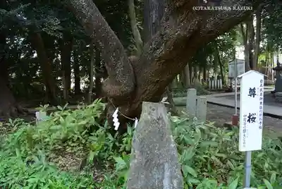 北野天神社(埼玉県)