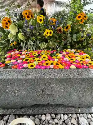 金蛇水神社(宮城県)