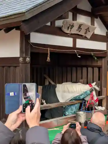 賀茂別雷神社（上賀茂神社）の{uncategorized: "未分類", other: "その他", undefined: "問題あり", building: "その他建物", grave: "お墓", sacred_gate: "鳥居", guardian: "狛犬", statue: "像", buddha: "仏像", history: "歴史", nature: "自然", garden: "庭園", animal: "動物", pagoda: "塔", temizu: "手水舎", mountain_gate: "山門・神門", sanctuary: "本殿・本堂", subordinate: "末社・摂社", art: "芸術", scenery: "景色", jizo: "地蔵", ema: "絵馬", goshuin: "御朱印", omikuji: "おみくじ", items: "授与品その他", amulet: "お守り", goshuincho: "御朱印帳", eats: "食事", festival: "お祭り", votive_dance: "神楽", shichigosan: "七五三参", wedding: "結婚式", experience: "体験その他", initially: "初詣", around: "周辺", anti_infection: "感染症対策"}