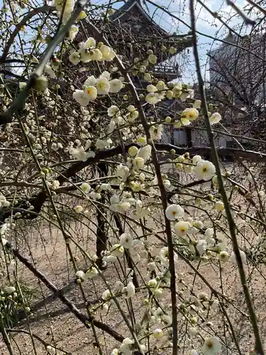 真宗大谷派名古屋別院(愛知県)