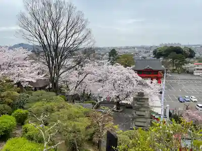 成田山名古屋別院大聖寺(犬山成田山)(愛知県)