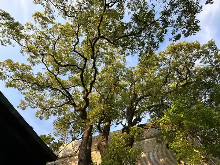 貴布禰神社(静岡県)