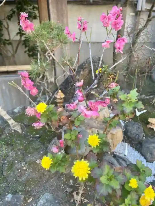 成就院の{uncategorized: "未分類", other: "その他", undefined: "問題あり", building: "その他建物", grave: "お墓", sacred_gate: "鳥居", guardian: "狛犬", statue: "像", buddha: "仏像", history: "歴史", nature: "自然", garden: "庭園", animal: "動物", pagoda: "塔", temizu: "手水舎", mountain_gate: "山門・神門", sanctuary: "本殿・本堂", subordinate: "末社・摂社", art: "芸術", scenery: "景色", jizo: "地蔵", ema: "絵馬", goshuin: "御朱印", omikuji: "おみくじ", items: "授与品その他", amulet: "お守り", goshuincho: "御朱印帳", eats: "食事", festival: "お祭り", votive_dance: "神楽", shichigosan: "七五三参", wedding: "結婚式", experience: "体験その他", initially: "初詣", around: "周辺", anti_infection: "感染症対策"}