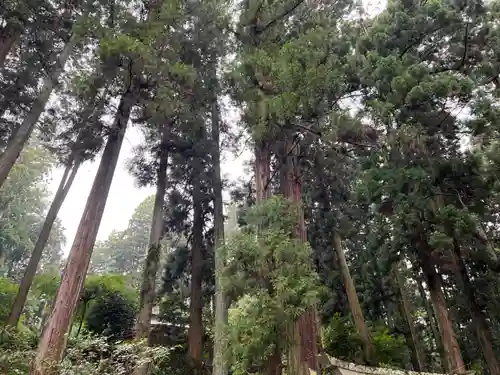 大宮温泉神社(栃木県)