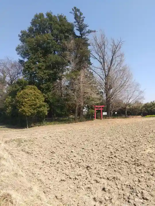 稲荷神社 (埼玉県)
