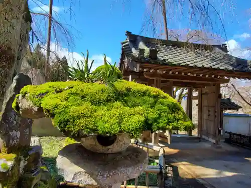 清雲寺の山門