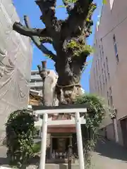 白光大神 (大阪府)