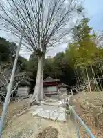 朝口観音堂の{uncategorized: "未分類", other: "その他", undefined: "問題あり", building: "その他建物", grave: "お墓", sacred_gate: "鳥居", guardian: "狛犬", statue: "像", buddha: "仏像", history: "歴史", nature: "自然", garden: "庭園", animal: "動物", pagoda: "塔", temizu: "手水舎", mountain_gate: "山門・神門", sanctuary: "本殿・本堂", subordinate: "末社・摂社", art: "芸術", scenery: "景色", jizo: "地蔵", ema: "絵馬", goshuin: "御朱印", omikuji: "おみくじ", items: "授与品その他", amulet: "お守り", goshuincho: "御朱印帳", eats: "食事", festival: "お祭り", votive_dance: "神楽", shichigosan: "七五三参", wedding: "結婚式", experience: "体験その他", initially: "初詣", around: "周辺", anti_infection: "感染症対策"}