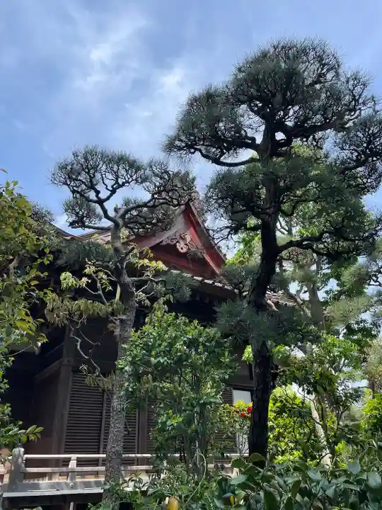 大巧寺(神奈川県)