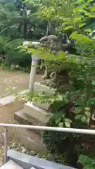 小岩神社の狛犬