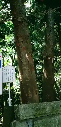 検見川神社の自然