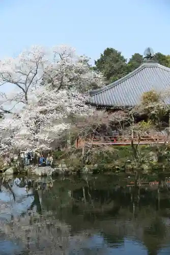 醍醐寺の{uncategorized: "未分類", other: "その他", undefined: "問題あり", building: "その他建物", grave: "お墓", sacred_gate: "鳥居", guardian: "狛犬", statue: "像", buddha: "仏像", history: "歴史", nature: "自然", garden: "庭園", animal: "動物", pagoda: "塔", temizu: "手水舎", mountain_gate: "山門・神門", sanctuary: "本殿・本堂", subordinate: "末社・摂社", art: "芸術", scenery: "景色", jizo: "地蔵", ema: "絵馬", goshuin: "御朱印", omikuji: "おみくじ", items: "授与品その他", amulet: "お守り", goshuincho: "御朱印帳", eats: "食事", festival: "お祭り", votive_dance: "神楽", shichigosan: "七五三参", wedding: "結婚式", experience: "体験その他", initially: "初詣", around: "周辺", anti_infection: "感染症対策"}