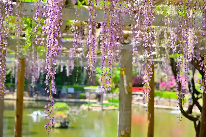 越ヶ谷久伊豆神社(埼玉県)