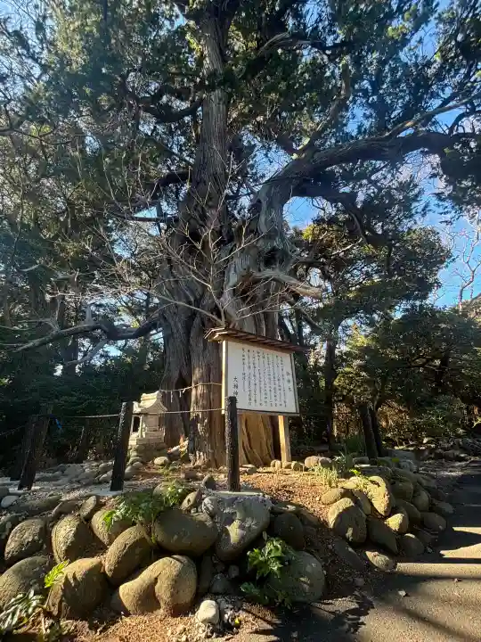 大瀬神社の{uncategorized: "未分類", other: "その他", undefined: "問題あり", building: "その他建物", grave: "お墓", sacred_gate: "鳥居", guardian: "狛犬", statue: "像", buddha: "仏像", history: "歴史", nature: "自然", garden: "庭園", animal: "動物", pagoda: "塔", temizu: "手水舎", mountain_gate: "山門・神門", sanctuary: "本殿・本堂", subordinate: "末社・摂社", art: "芸術", scenery: "景色", jizo: "地蔵", ema: "絵馬", goshuin: "御朱印", omikuji: "おみくじ", items: "授与品その他", amulet: "お守り", goshuincho: "御朱印帳", eats: "食事", festival: "お祭り", votive_dance: "神楽", shichigosan: "七五三参", wedding: "結婚式", experience: "体験その他", initially: "初詣", around: "周辺", anti_infection: "感染症対策"}