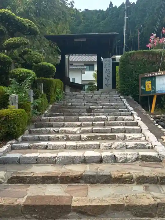 梅岩寺(東京都)