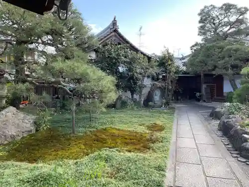 光念寺(京都府)