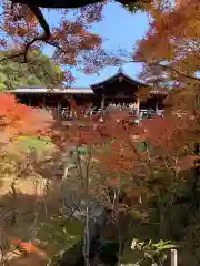 東福禅寺（東福寺）の自然