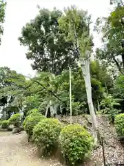 阿高神社(福岡県)