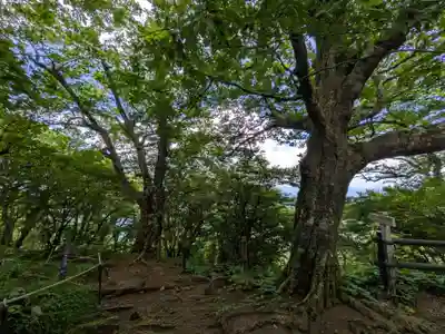 筑波山神社 女体山御本殿(茨城県)