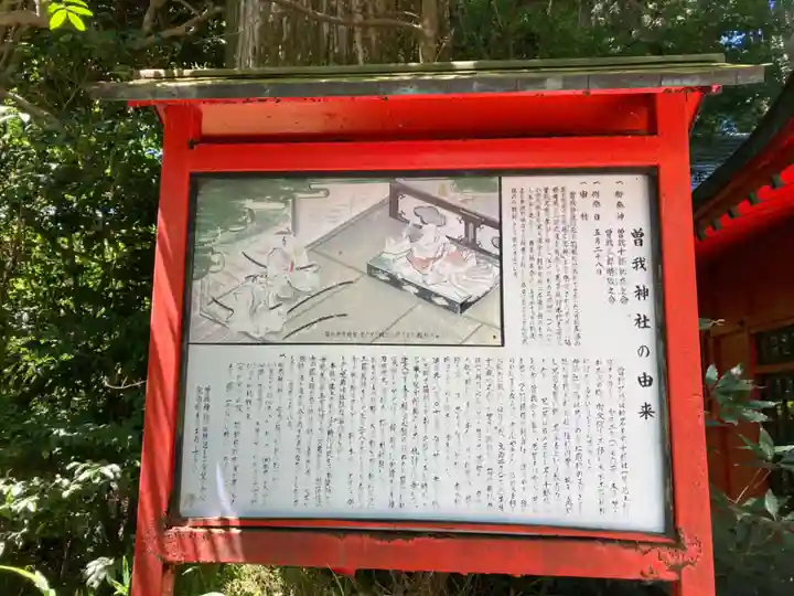 箱根神社の歴史