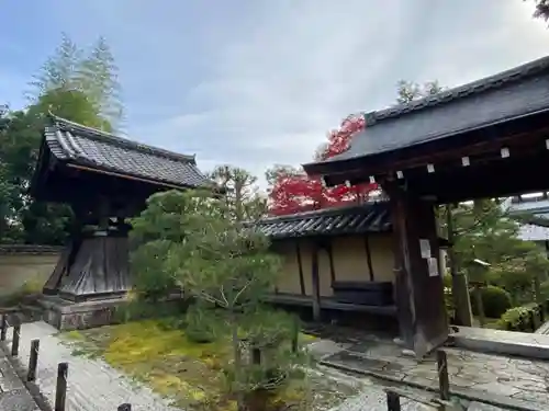 大仙院(京都府)